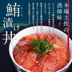 高知の丼の素 マグロの漬け 約80g×10パック
