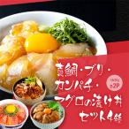 高知の丼の素 4種×各2パック 約80g×8パック