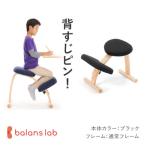 バランス イージー 通常フレーム バランスチェア