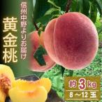 ふるさと納税 中野市 黄金桃 約3kg(8〜12玉)