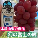 2027年発送先行受付 本場山梨が誇る幻の傑作