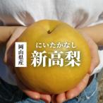 新高梨 ご 3-6玉