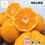 特撰 濃厚ポンカン 3kg
