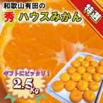 特撰品 和歌山有田のハウスみかん 約2.5kg