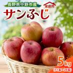 ふるさと納税 中野市 【訳あり】【先行受付】 りんご サンふじ 5kg 家庭用 長野県産