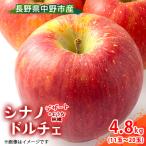 ふるさと納税 中野市 【先行受付】 シナノドルチェ 4.8kg 長野県産