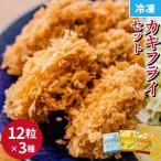 かきフライ3種食べ比べセット プレーン