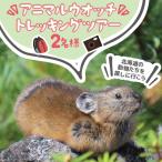 ナキウサギやシマリスなどの動物たちを探しに行こう