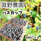 真野農園のハスカップ 600g×2