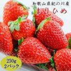 まりひめ 約250g×2パック入り