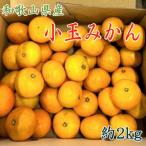 産小玉みかん約2kg 2S 3S混合