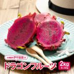 ふるさと納税 伊平屋村 伊平屋産のドラゴンフルーツ2kg