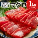 伊平屋島近海のマグロ1kg マイナス60°C急速冷凍