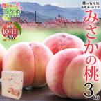 ふるさと納税 笛吹市 【2025年先行予約】みさかの桃 秀品 3kg 糖度 10%以上 山梨県 笛吹市