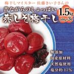 ふるさと納税 宮城県 【無添加・塩分約17%】昔ながらの赤しそ梅干し1.5kg 梅干しマイスター佐藤きい子さん  天然塩