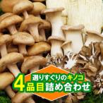 fu.... налог юг остров . город юг остров . производство тщательно отобранный .. . комплект 4 товар набор кастрюля кулинария и т.п. рекомендация. пищевые ингредиенты 