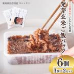 熟成3日 発芽玄米ご飯 パックご飯 6個