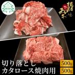 根羽こだわり和牛 希少部位 ステーキセット 計500g以上