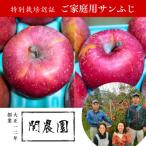 ふるさと納税 松川町 特別栽培認証 りんご サンふじ【家庭用】約5kg 訳あり [12月上旬〜下旬頃発送予定]
