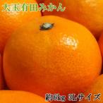 和歌山有田みかん約6kg大玉 3Lサイズ