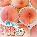ふるさと納税 甲州市 味自慢桃【訳あり品】を感謝込めて朝どれでお贈りします!5kg(12〜18玉)