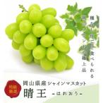 ショッピングふるさと納税 シャインマスカット ふるさと納税 岡山市 岡山県産 シャインマスカット『晴王』1房(800g以上) 化粧箱入り