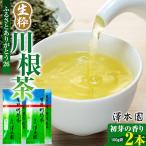 生粋川根茶 26 澤本園の初芽の香り 100g袋×2本