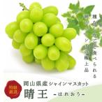 ふるさと納税 津山市 【先行受付】岡山県産 シャインマスカット『晴王』1房(800g以上) 化粧箱入り