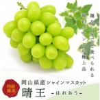 ぶどう 2026年 果物 詰合せ ニュー ピオーネ