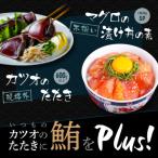 規格外カツオたたき 約600g+マグロ漬け丼の素 約80g×5パック