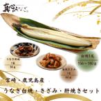 うなぎ白焼 きざみ 肝焼きセット
