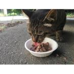 肉まみれ 犬猫用レトルトペットフード 鹿肉 60g×10パック