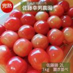 ふるさと納税 須賀川市 さくらんぼ 【佐藤幸男農園】 佐藤錦 2L 1kg 置き並べ 贈答用