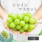 ふるさと納税 甲州市 【2025年発送】山梨産シャインマスカット1房 大房700g以上 産地直送