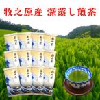 牧之原産深蒸し煎茶 白富士 12袋セット