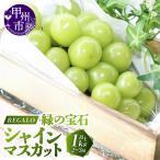 ショッピングふるさと納税 シャインマスカット ふるさと納税 甲州市 頬張る幸福感 〜緑の宝石・シャインマスカット〜 1kg以上(2〜3房)