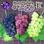 ショッピングふるさと納税 シャインマスカット ふるさと納税 甲州市 2026年先行予約 厳選!山梨県甲州市産 シャインマスカット含む3色セット約1.8kg