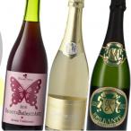 ふるさと納税 甲州市 甲州市スパークリングワイン3本セット(E1-655)