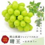 ショッピングふるさと納税 シャインマスカット ふるさと納税 美咲町 岡山県産 シャインマスカット『晴王』2房(1房480g以上) 化粧箱入り