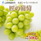 ふるさと納税 笛吹市 【2026年発送】大房 シャインマスカット 秀品  匠の葡萄 1房 約500g 山梨県 笛吹
