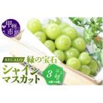 ショッピングふるさと納税 シャインマスカット ふるさと納税 甲州市 頬張る幸福感 〜緑の宝石・シャインマスカット〜 3kg以上(4〜6房)