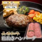 ふるさと納税 諫早市 長崎和牛粗挽きハンバーグ　150g×10ヶ