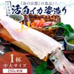 日本海産の逸品 活白イカ姿造り クリスタル白いか