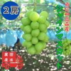 ふるさと納税 高森町 【南信州高森産】シャインマスカット 2房
