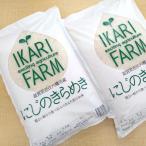 大粒で食べ応えあり にじのきらめき白米10kg 5kg×2