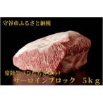 常陸牛 ひたちぎゅう A5等級 サーロインブロック 5kg