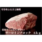 常陸牛 ひたちぎゅう A5等級 サーロインブロック 6kg