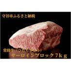 常陸牛 ひたちぎゅう A5等級 サーロインブロック 7kg