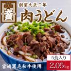ふるさと納税 宮崎市 《大盛うどん》肉うどん　冷凍なま麺5食セット