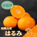 はるみ 3kg